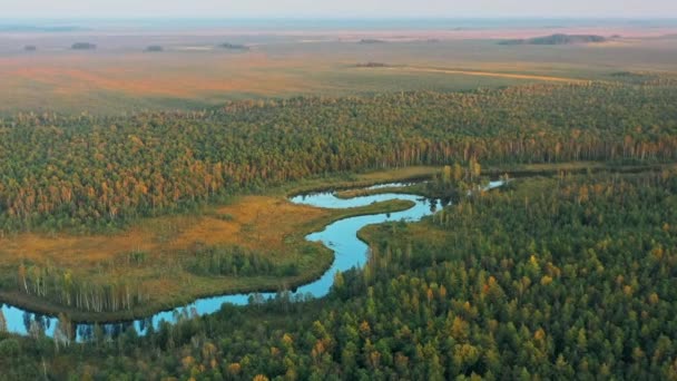 Domzheritsy, Vitebsk Region, Belarus. 부잔 카 강. ( 영어 ) Aerial View of Summer Curved River Landscape In Autumn Evening. 여름의 높은 태도로부터 아름다운 유럽 자연의 꼭대기에서 바라본 봄 — 비디오
