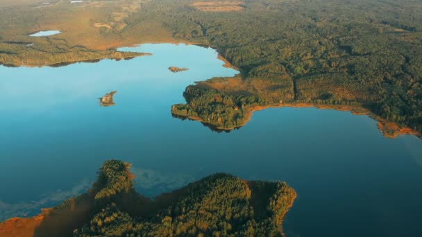 Bosque de coníferas verdes creciendo en la costa del lago 4K. Vista aérea de los lagos Rivers Coast and Countryside Landscape. Bosque de pinos en el paisaje durante la puesta del sol en verano. Bosques — Vídeo de stock