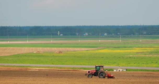 Tractor Plowing Field In Warm Spring Day Season (en inglés). Comienzo de la temporada de primavera agrícola. Cultivador tirado por un tractor en el campo rural Paisaje bajo el cielo azul claro y soleado de primavera. Línea del horizonte — Vídeos de Stock