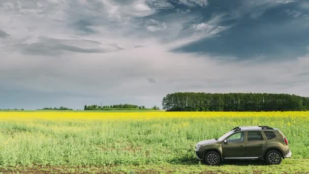 Gomel, Bielorrússia - 11 de maio de 2019: Renault Duster Suv In Spring Colza Campo Paisagem Campo. Duster Produzido conjuntamente pelo fabricante francês Renault e sua Dacia subsidiária romena. — Vídeo de Stock