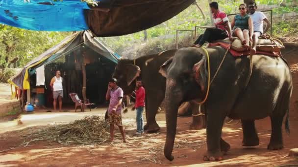 印度果阿- 2020年2月14日：游客骑在一头印度大象的背上慢动作. — 图库视频影像