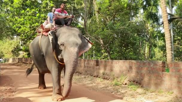 Goa, Indien - 14 februari 2020: Turister rida på baksidan av en indisk elefant Slow Motion. — Stockvideo