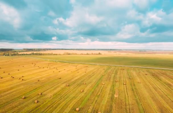 Venkovská krajinná louka s balíky sena po sklizni. Time Lapse, Timelapse, Time-lapse. Letecký pohled na krajinu pole sena. Hyper lapse 4K 5K — Stock video