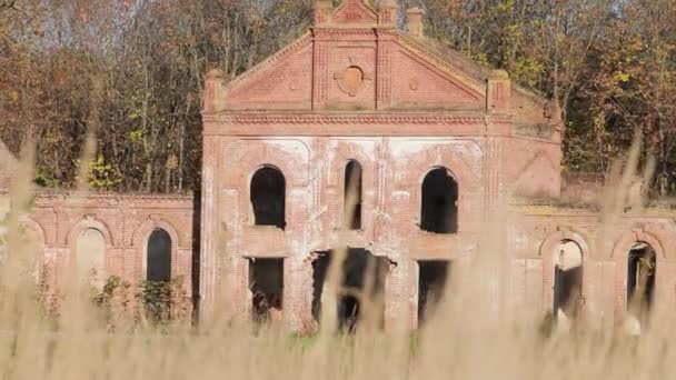 Kanichi, Belarus. Old Ruined Brewery Building — Stock Video