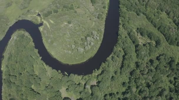 Нерозкритий D-log Повітряний вид літнього річкового пейзажу в сонячний літній день. Вид зверху красивої європейської природи з високої позиції в літній сезон. Вид на дрон. Вид очей птахів 4K — стокове відео