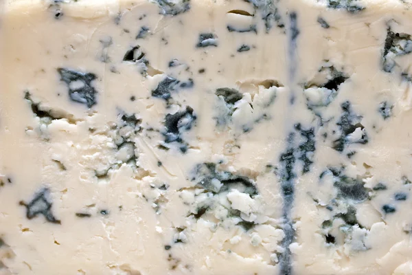 Fondo formaggio blu — Foto Stock