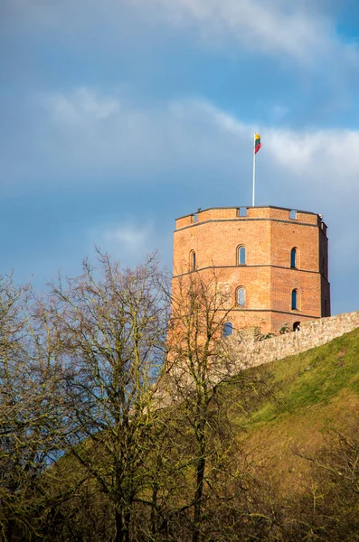 Gediminas Tower Vilinius Winter — Fotografia de Stock