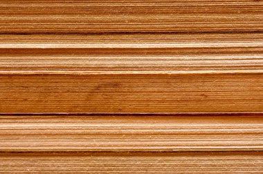 Background lined with old books