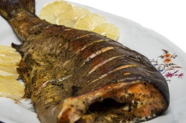 Beyaz arka planda limonlu fırında alabalık.