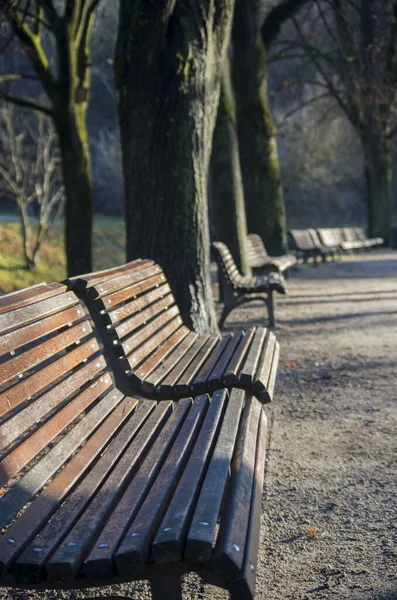 Benches Park Autumn — Stock Photo, Image