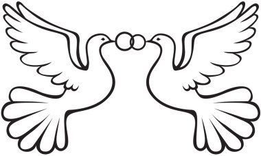 Download White Doves Isolated Free Vector Eps Cdr Ai Svg Vector Illustration Graphic Art
