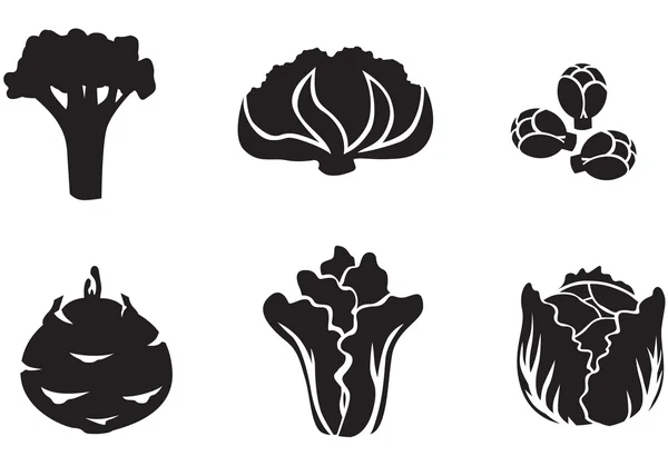 Cabbage set — Stock Illustration Cabbage set Stock Vector