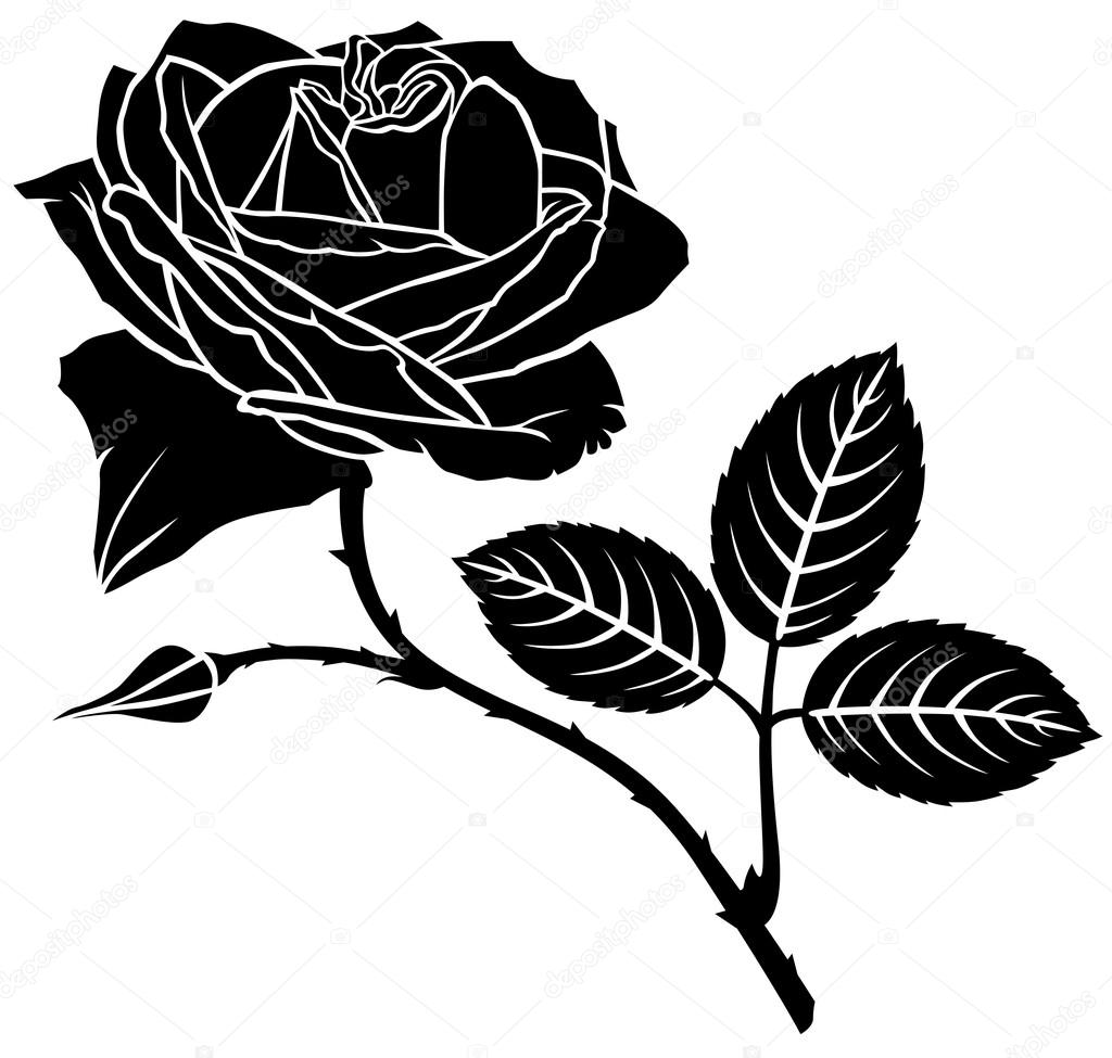 Free Free 350 Silhouette Rose Flower Svg SVG PNG EPS DXF File