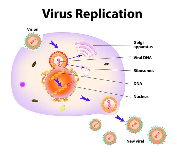 Replica del virus. Illustrazione vettoriale — Vettoriale Stock