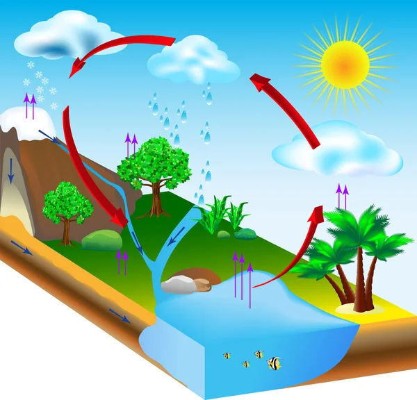 Su döngüsü. Doğa. vektör diyagramı — Stok Vektör