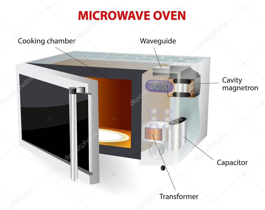 microwave oven vector diagram