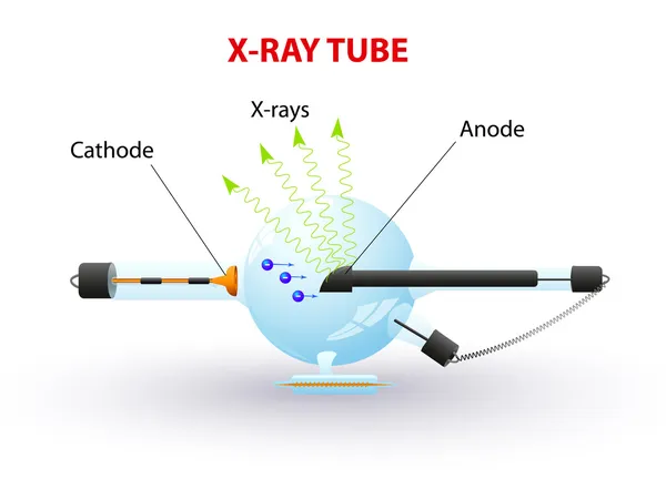 X 射线管 — 图库矢量图片