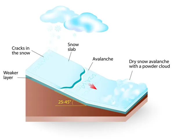 Avalancha de nieve Diagrama vectorial — Vector de stock