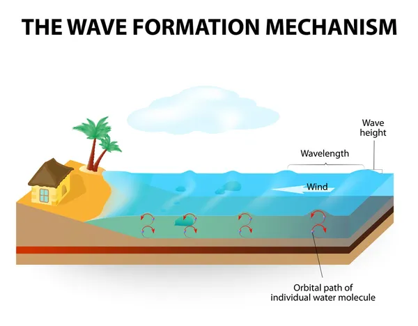 Wave formation mechanism — Stock Vector