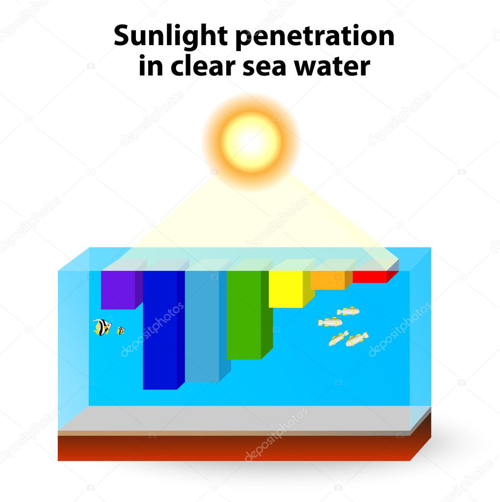 Sunlight absorption occurs in clear water