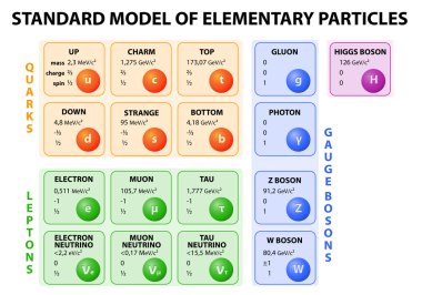 Standard model of elementary particles clipart