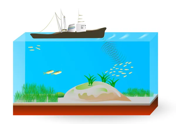 Principe van de werking van onderwater sonar — Stockvector