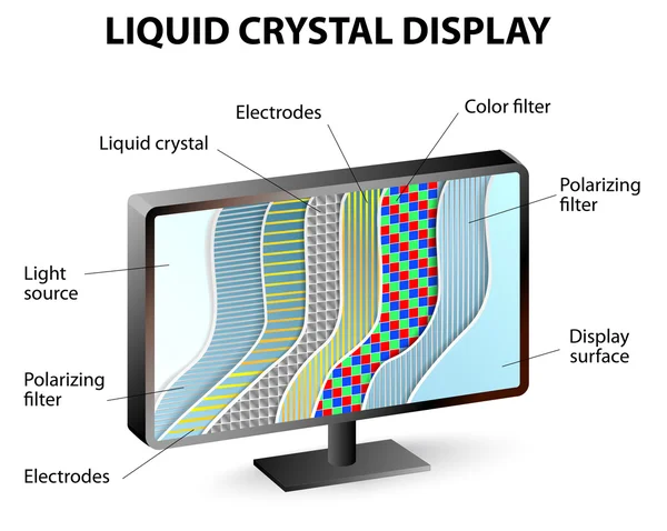 Coupe transversale d'un écran LCD — Image vectorielle