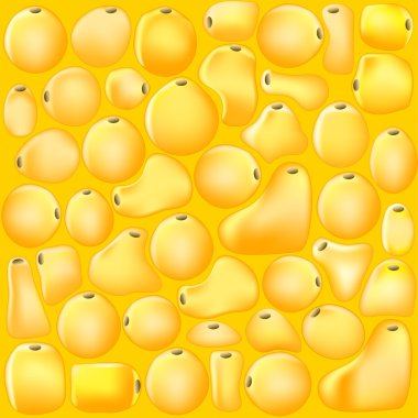 tıbbi geçmişi. yağ hücreleri