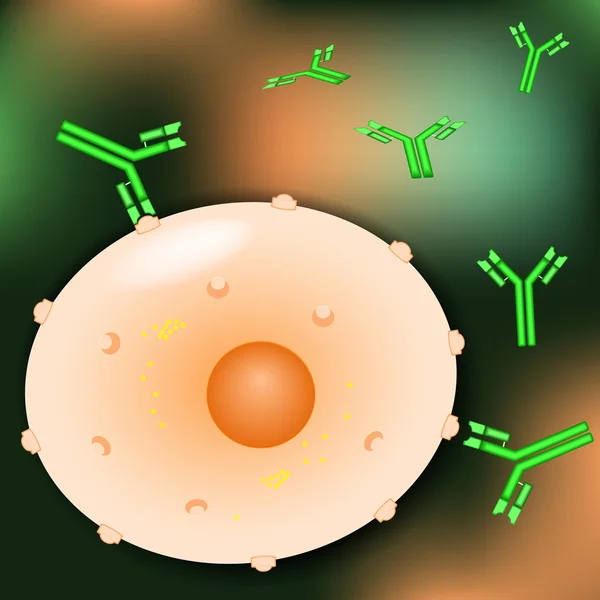 Cellule e anticorpi — Vettoriale Stock