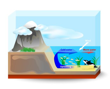Upwelling currents clipart