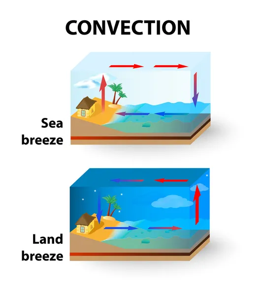 Convección. Brisa terrestre y brisa marina — Vector de stock