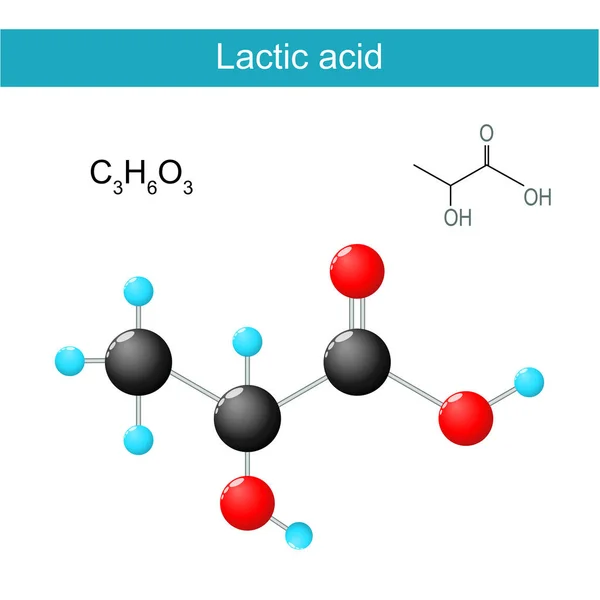 乳酸分子式 有机酸的化学结构公式和模型 矢量说明 — 图库矢量图片