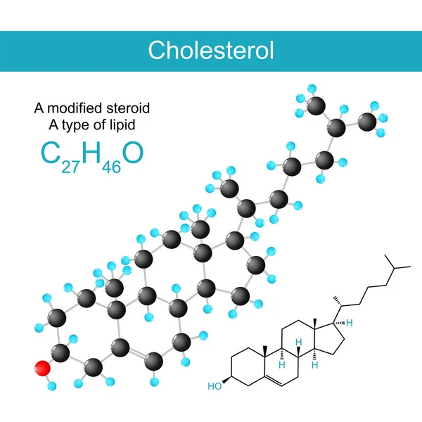 胆固醇分子化学结构公式和一个甾醇 或修改后的甾体 类型的脂质 矢量说明 — 图库矢量图片