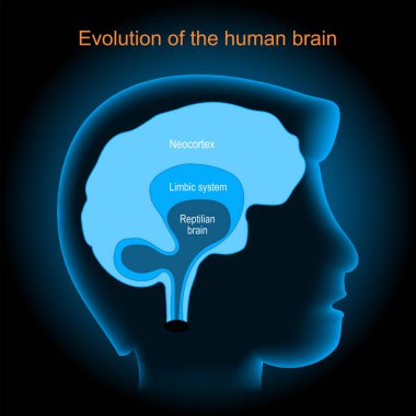 Brain evolution. Neocortex, Reptilian brain, and Limbic system. Human's head with brain on dark background. Vector poster clipart