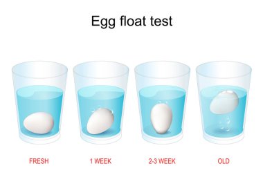 egg floating test. How to test the age of eggs. experiment about Why Bad Eggs Float and Good Eggs Sink. vector illustration