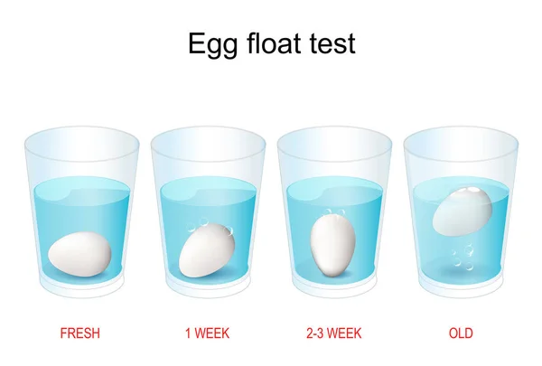 Egg Floating Test How Test Age Eggs Experiment Why Bad — стоковый вектор