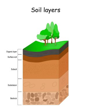 Toprak katmanları. Toprak yapısı. Vektör diyagramı. Dünya Jeoloji bilgi grafikleri.  