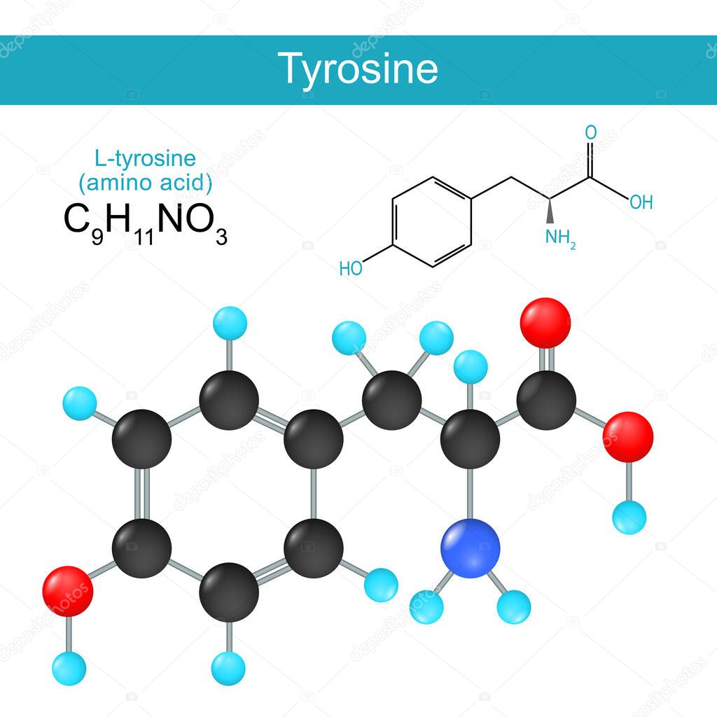tyrosine. Structural chemical formula of a L-Tyrosine. Skeletal formula of a Standard amino acid. Alkaptonuria. Vector illustration