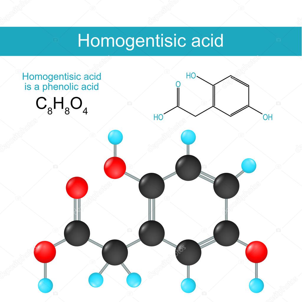 homogentisic acid. Structural chemical formula of a homogentisic acid. Skeletal formula of a phenolic acid. Alkaptonuria. Vector illustration