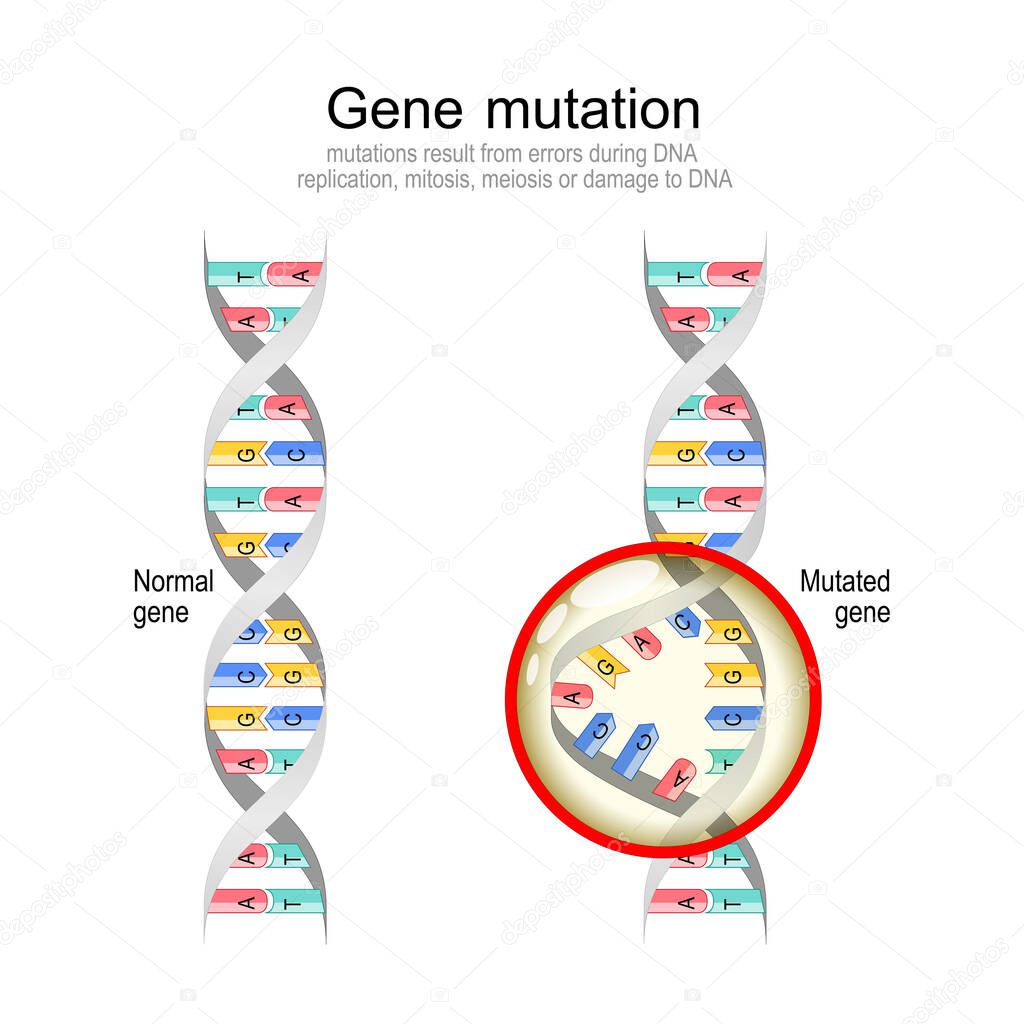 Gene mutation Normal DNA and helix with Mutated gene.  Biological manipulation. Vector diagram
