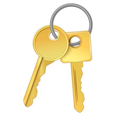 Bunch of two golden keys with ring isolated on white background. sign of key. Vector icon