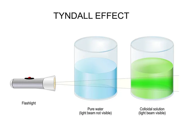 典型的な効果だ 液体と懐中電灯の2つのガラスで科学実験 純粋な水の中の光ビームは見えず コロイド溶液中の光ビームは見えない 教育用ベクターポスター — ストックベクタ