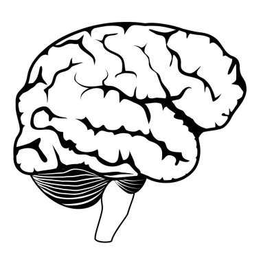 human brain isolated on white background. Black and white icon. side view. Vector poster