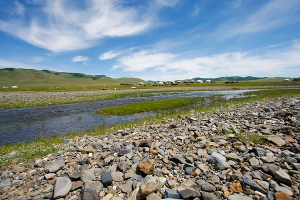 Desert of Mongolia — Stock Photo, Image