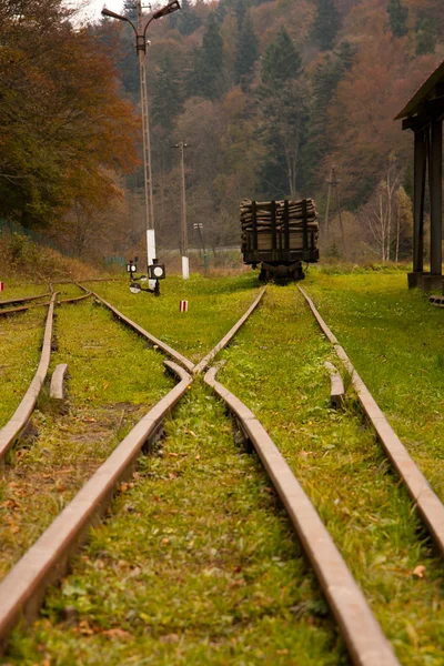 On the tracks — Stock Photo, Image