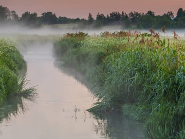 Kırsalda sisli bir sabah. Toczna Nehri. Patkow. Podlasie. Podlachia. Polonya, Avrupa. Bölgeye Podlasko veya Podlasze denir.