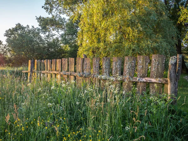 Egy Öreg Fából Készült Kerítés Melyet Moha Borít Felkelő Nap — Stock Fotó