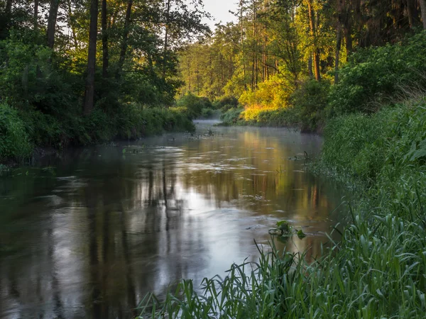 Foggy Morning Countryside Toczna River Patkow Podlasie Podlachia Poland Europe — Stockfoto