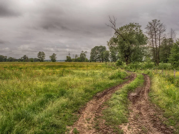 Countryside Road Podlasie Podlachia Poland Europe Region Called Podlasko Podlasze — Stock Photo, Image