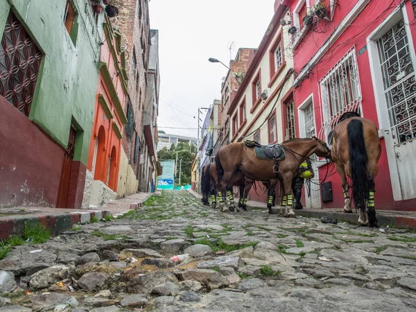 Bogota Colombia May 2016 Colorful Houses Horses Street Bogota — Stock fotografie